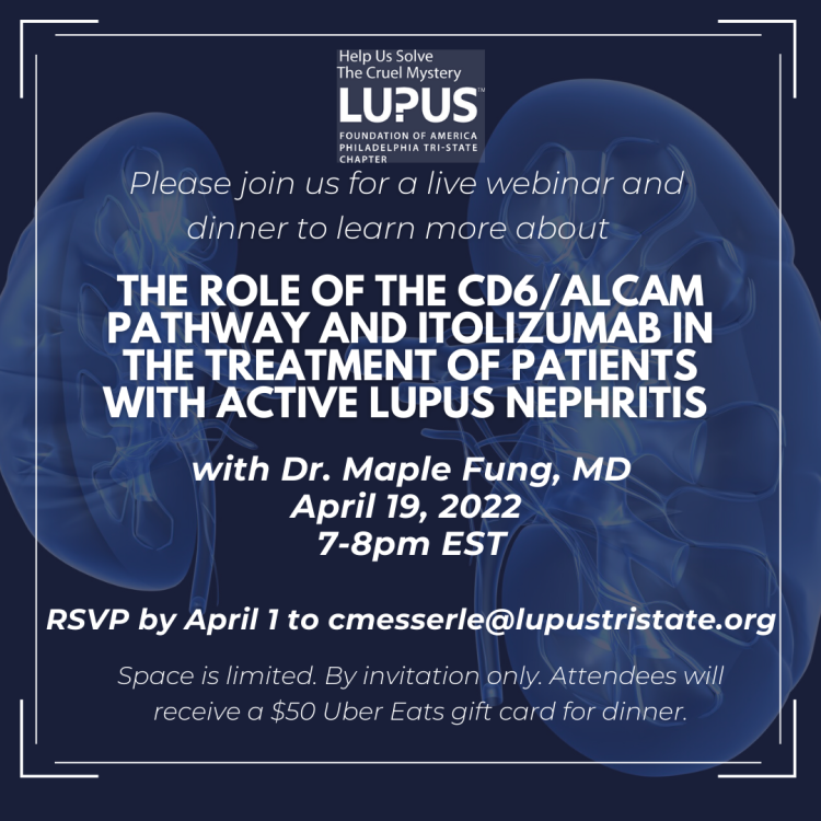 equillium program insta size